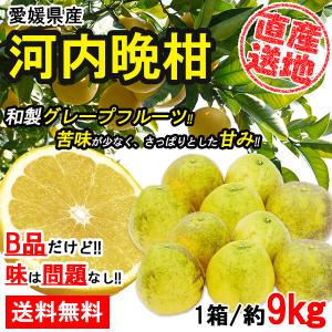 パール柑 熊本産 訳あり 20kg ［10kg×2箱］ 送料無料 九州 熊本