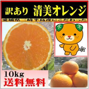 清見オレンジ 約10kg　愛媛産 送料無料 ＜少し　訳あり＞