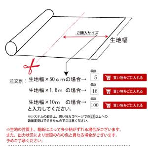 和柄 金彩鳳凰文様 全5色 約110cm幅 1...の詳細画像4