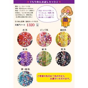 ちりめんお試しセット!! 『ネコポス限定送料無...の詳細画像2
