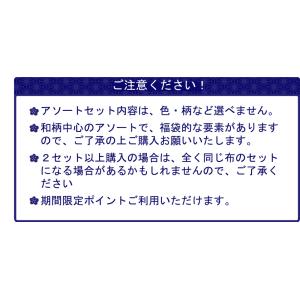 ちりめんお試しセット!! 『ネコポス限定送料無...の詳細画像3