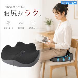 テンピュール（TEMPUR） ランバーサポート クッション 背中クッション