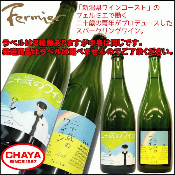 フェルミエ 二十歳のわいん 750ml 新潟 ワイナリー 国産