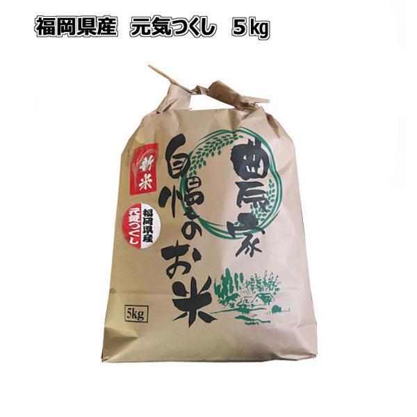 [ 元気つくし ] [ 5kg ] 令和7年産　福岡県産　農家直送 送料無料　新米