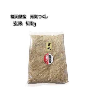 元気つくし [ 玄米 ] [ 950g ] 令和7年産 福岡県産 ポイント消化 農家