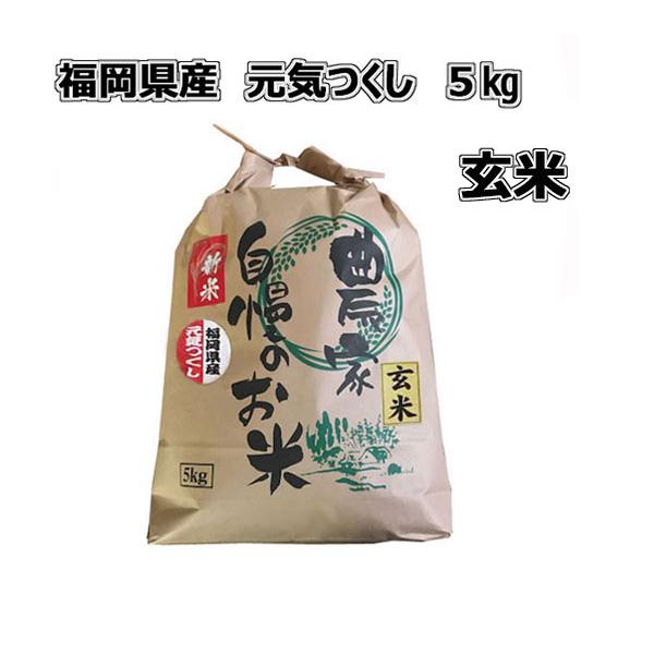 [ 元気つくし ] [ 玄米 ] [ 5kg ]　令和7年産　福岡県産 農家直送 送料無料　新米