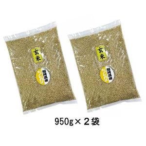 夢つくし [ 玄米 ] [ 1.9kg (950g×2袋) ] 令和7年産 福岡県産 農家直送 