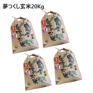 [ 夢つくし ]  [ 玄米 ]  [ 20kg (5kg×4袋) ]　令和４年産　福岡県産　農家直送　送料無料｜takachan-nouen