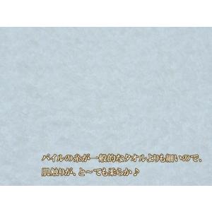 30/1パイル しっかり厚手タイプ(975g[...の詳細画像1