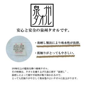 30/1パイル しっかり厚手タイプ(975g[...の詳細画像4