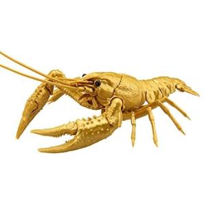 ザリガニ 生体 家具 インテリア用品 の商品一覧 通販 Yahoo ショッピング
