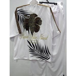 ロッキーラビット 半袖ジャージ上下セット : takafuku1915 - 通販