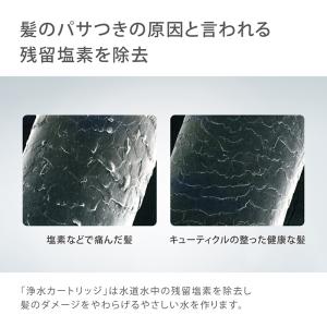 浄水カートリッジ タカギ 浄水 シャワー 残留...の詳細画像2