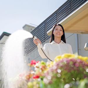 タカギ ホース ホースリール 30m 散水 コ...の詳細画像1