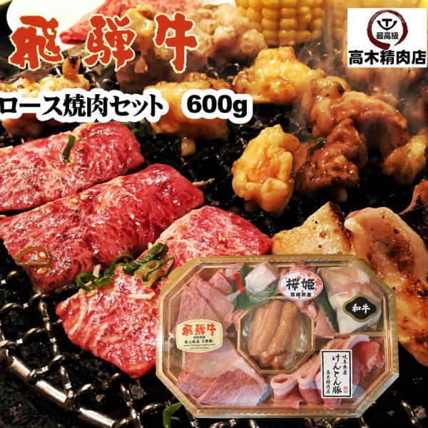 飛騨牛 ロースのバーベキューセット 600g 送料無料 飛騨牛 豚 鶏 ホルモン ウィンナー ２〜３...