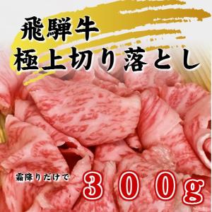 飛騨牛霜降り切り落とし 300g 焼しゃぶ すき焼き 牛丼 肉じゃが 冷凍