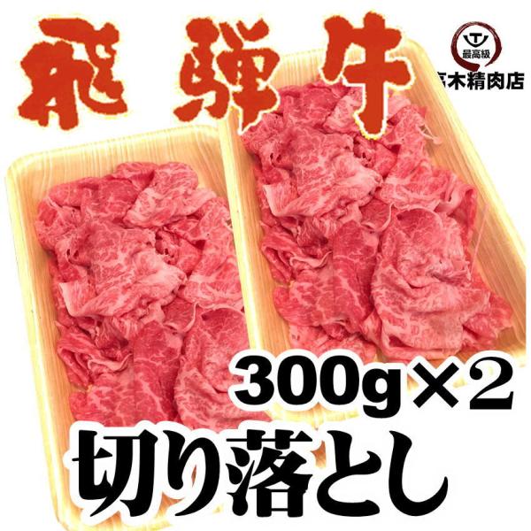 飛騨牛 切り落とし 300ｇ×2パック 牛肉 黒毛和牛 わけあり スライス 牛丼 炒め物 野菜炒め ...