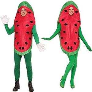 スイカ すいか コスチューム 食べ物 着ぐるみ 野菜 果物 おもしろい コスチューム おもしろ コスプレ 大人 男女兼用 食料品 [輸入品]｜takahanbai-y