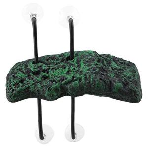 亀 水槽 レイアウトの商品一覧 通販 Yahoo ショッピング