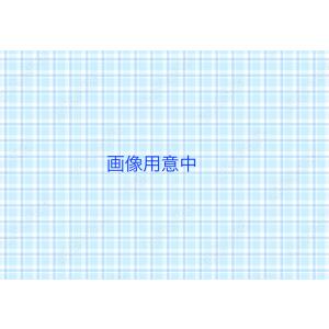 リンナイ 配管カバー WOP-F101(K)SS｜高橋プロパン