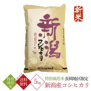 新潟県産 コシヒカリ （ 長岡地区限定 ） 特別栽培米 （ 令和5年産 ） 5kg 【 送料無料 （新潟近県）】｜takaishi-kome