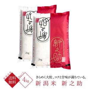 新之助（しんのすけ） 新潟米 新之助（ 令和7年産 ） 5kg 【 送料無料