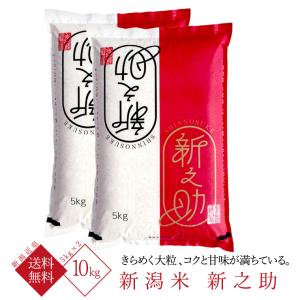 新之助（しんのすけ） 新潟米 新之助（ 令和7年産 ） 5kg 【 送料無料