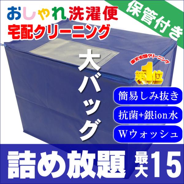 クリーニング 宅配 保管 詰め放題 15点まで 最大一年保管 衣替え 新生活 送料無料 シミ抜き タ...