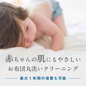 布団 クリーニング 2枚 防ダニ加工 抗菌 羽...の詳細画像2