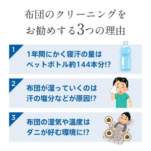 布団 クリーニング 1枚 抗菌 羽毛 ふとん ...の詳細画像3