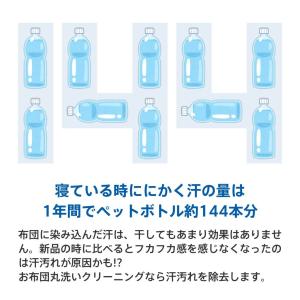 布団 クリーニング 1枚 抗菌 羽毛 ふとん ...の詳細画像4