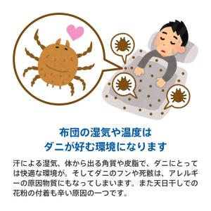 布団 クリーニング 1枚 抗菌 羽毛 ふとん ...の詳細画像5