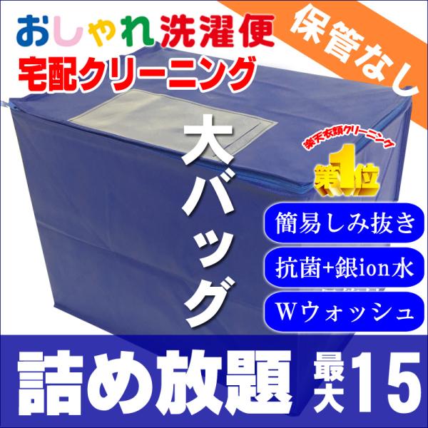 クリーニング 宅配 詰め放題 15点まで 仕上がり次第発送 衣替え 新生活 送料無料 シミ抜き タカ...