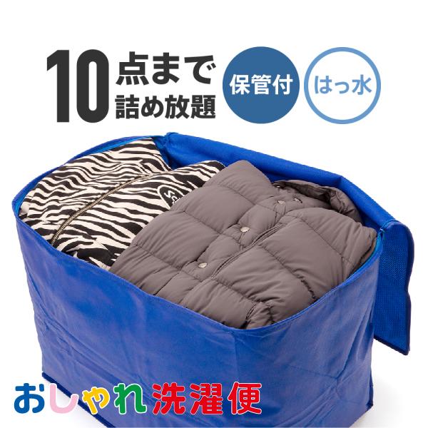 クリーニング 宅配 保管付 撥水加工付 10点まで詰め放題  送料無料 スキーウェア ボードウェア ...