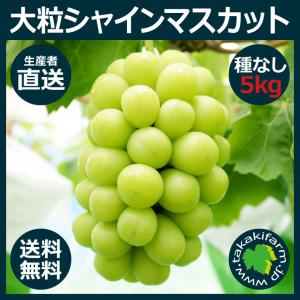 シャインマスカット5kg入り ぶどう 種なし 大粒 生産者直送 収穫当日発送 岡山県産 送料無料