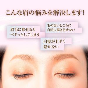 パウダースリムアイブロウ ロングラスティングE...の詳細画像2