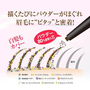 パウダースリムアイブロウ ロングラスティングE...の詳細画像3