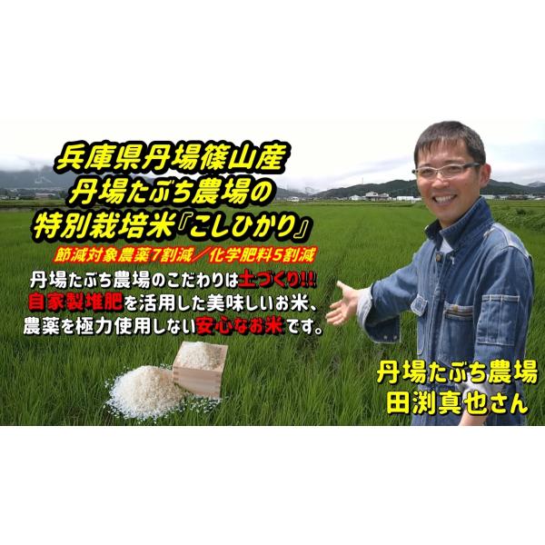 兵庫県丹波篠山産コシヒカリ 【玄米】３Kg 【特別栽培米（節減対象農薬７割減・化学肥料５割減】　丹波...