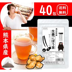 しょうがごぼう茶 国産 40包 熊本県産 皮まで丸ごと ダイエット 自社遠赤焙煎製法 乾味屋
