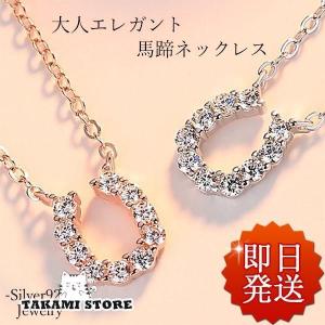 美品SAADシルバーイーグルクロウフェザー6cm　saad ネックレス　トップ SAAD サード ペンダント イーグルクロー 2点セット シルバー925