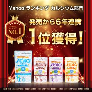 【LINE登録で300円OFFクーポン】ノビル...の詳細画像2