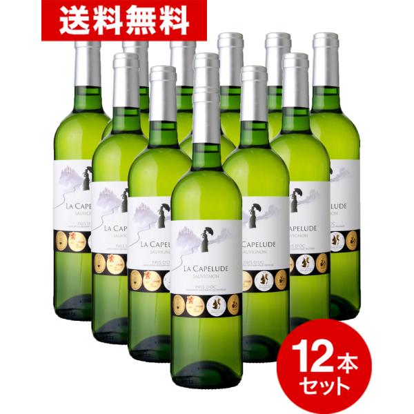 送料無料 12本セット 金賞4冠！ラ キャペルード ソーヴィニヨン [ 2019 ] アルマ セルシ...