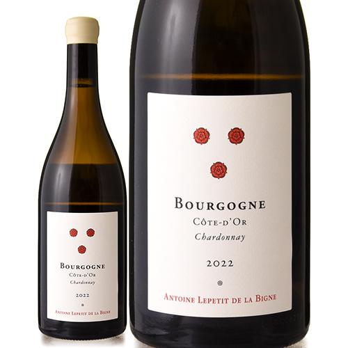 ブルゴーニュ コート ドール ブラン [ 2022 ]アントワーヌ ルプティ ド ラ ビーニュ ( ...