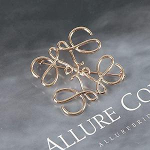 LOEWE（ロエベ） ブローチ ANAGRAM BROOCH 111.25.020 111.27.027