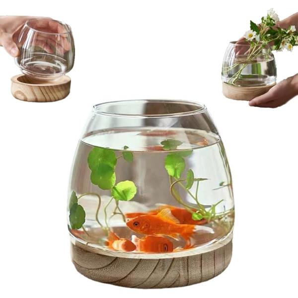 金魚鉢 ガラス 丸 金魚 水槽 小さい メダカ水槽 飼育水槽 メダカ鉢 観葉植物 インテリア メダカ...