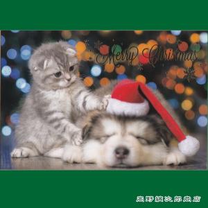クリスマスネコポストカード１枚  ねぇねぇ 猫 はがき【レターパックプラス可40個まで・レターパックライト可20個まで・メール便可10個まで】A｜takano-coffee