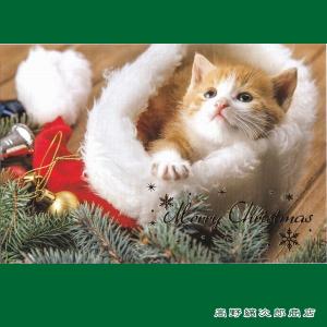 クリスマスネコポストカード１枚  茶トラ帽子にくるまれて 猫【レターパックプラス可40個まで・レターパックライト可20個まで・メール便可10個まで】A｜takano-coffee