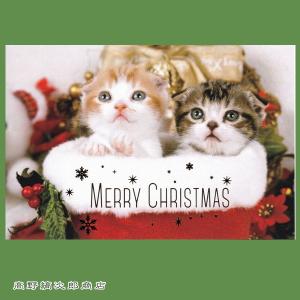 クリスマスネコポストカード１枚 仔猫二匹 猫【レターパックプラス可40個まで・レターパックライト可20個まで・メール便可10個まで】A｜takano-coffee