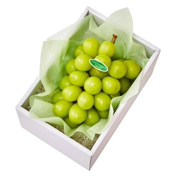 【公式】新宿高野 お歳暮 ギフト 贈り物 フルーツ 内祝い 誕生日 お祝い 御礼  長野シャインマス...