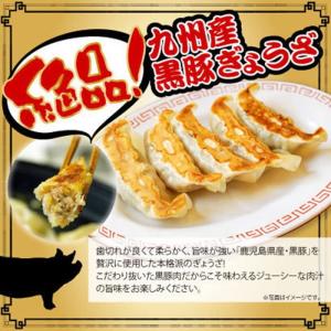 【パネもく!】九州産黒豚餃子(A4パネル付)の詳細画像1